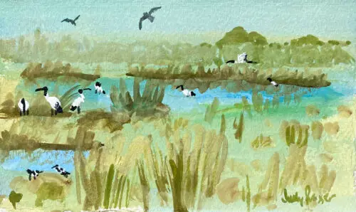 Derby Wetland