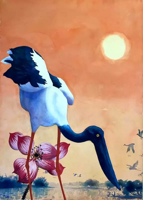 Jabiru-1-Judy-Prosser