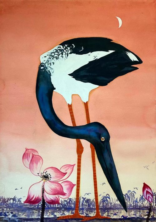 Jabiru-2-Judy-Prosser