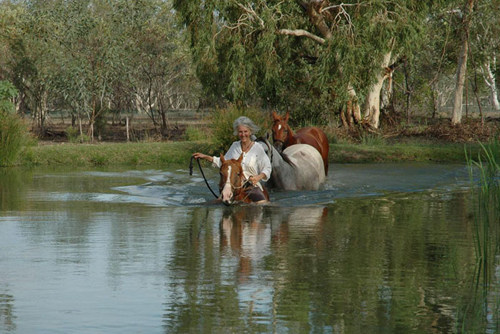 Judy Horses Swim