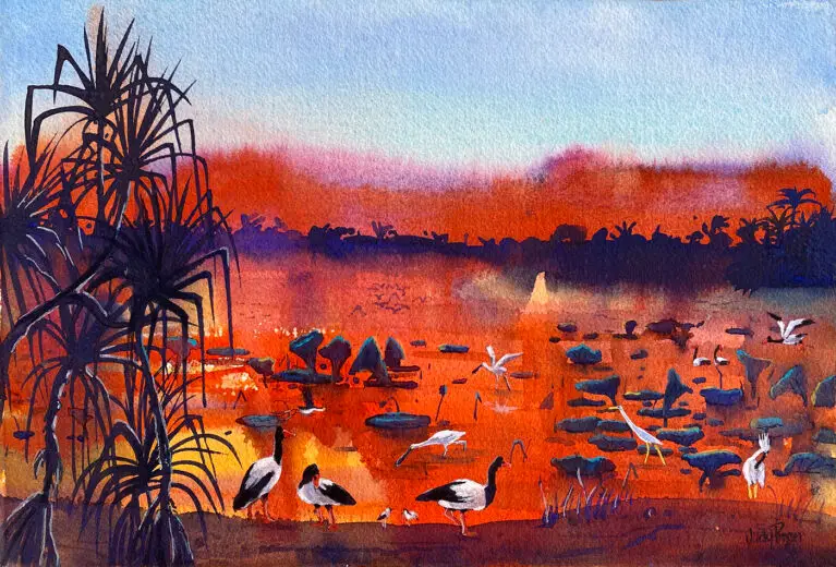 A Kakadu billabong full of bird life and lilies in Australias far north.